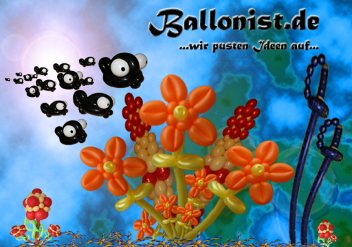 www.ballonist.de
